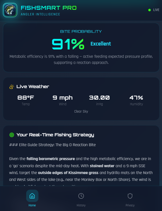Forecast history with export options