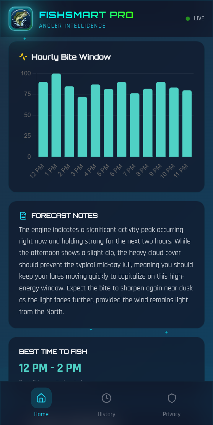 12-hour activity forecast chart